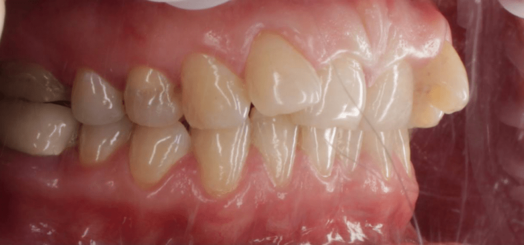 Портфолио - до 2