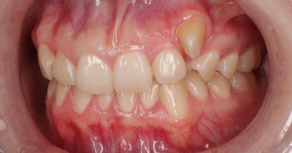 Портфолио - до 2